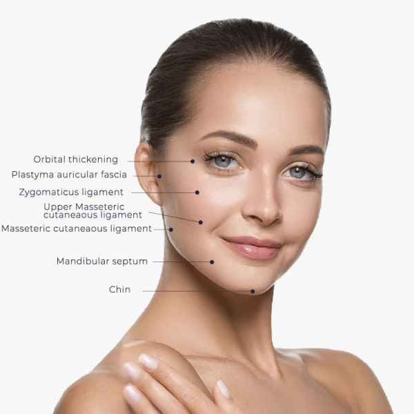 Ako prebieha procedúra